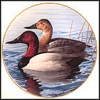 Canvasbacks Collector Plate by Rod Lawrence MAIN