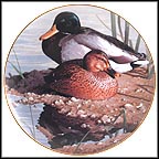 Mallard Pair Collector Plate by Rod Lawrence MAIN