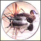 Pintails Collector Plate by Rod Lawrence MAIN