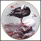 Snow Geese Collector Plate by Rod Lawrence MAIN