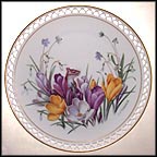 February - Crocus, Hepatica and Snowdrops Collector Plate by Linda Thompson MAIN