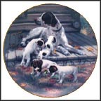 Pointers Collector Plate by Robert Christie MAIN