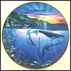 Rhapsody Of Hope Collector Plate by John Enright MAIN