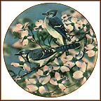 Blue Jays Of Spring Collector Plate by Danny O'Driscoll MAIN