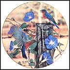 Bluebirds And Morning Glories Collector Plate by Danny O'Driscoll MAIN