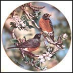 Robins And Apple Blossoms Collector Plate by Danny O'Driscoll MAIN
