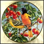 Summer's Glow Collector Plate by Marc R. Hanson MAIN