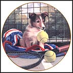 Net Play Collector Plate by Jim Lamb MAIN