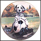 Spotted On The Sideline Collector Plate by Jim Lamb MAIN
