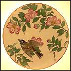 The Garden Sanctuary Collector Plate by Shunsuke Suetomi MAIN