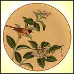 June's Creation Collector Plate by Shunsuke Suetomi MAIN