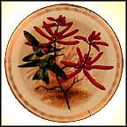 Amethyst Throated Sunangels Collector Plate by James Landenberger MAIN