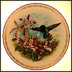 Blue-Headed Sapphire Hummingbird Collector Plate by James Landenberger MAIN