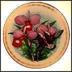 Pearl Coronet Hummingbird Collector Plate by James Landenberger MAIN