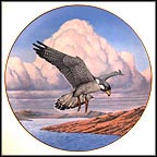 Coastal Journey Collector Plate by Thomas Hirata MAIN