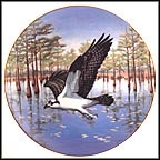 Commanding The Marsh Collector Plate by Thomas Hirata MAIN