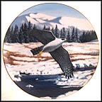 Fierce And Free Collector Plate by Thomas Hirata MAIN