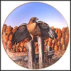 Realm Of The Red-Tail Collector Plate by Thomas Hirata MAIN