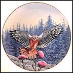 The Vantage Point Collector Plate by Thomas Hirata MAIN