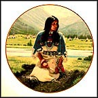 Falling Star Collector Plate by David Wright MAIN