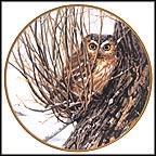 Hiding Place Collector Plate by John Seerey-Lester MAIN