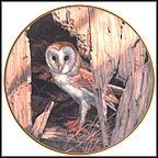 Waiting For Dusk Collector Plate by John Seerey-Lester MAIN
