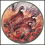 Bobwhite Quail Collector Plate by Jim Killen MAIN