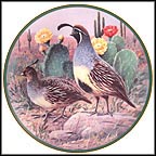 Gambel Quail Collector Plate by Jim Killen MAIN