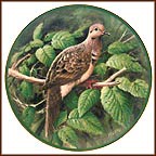 Mourning Dove Collector Plate by Jim Killen MAIN