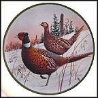 Ring-Necked Pheasant Collector Plate by Jim Killen MAIN