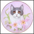 Pink Lilies Collector Plate by Bob Harrison MAIN
