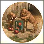 Double Take - Cocker Spaniels Collector Plate by Jim Lamb MAIN