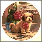 Weekend Gardener - Lhasa Apsos Collector Plate by Jim Lamb MAIN