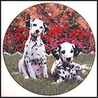 Sweet Spots Collector Plate MAIN