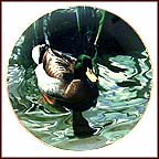 Among The Reeds Collector Plate by Ron Parker MAIN