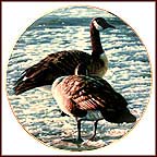 Freeze Up Collector Plate by Ron Parker MAIN