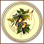 Common Yellowthroat Collector Plate by C. Ford Riley MAIN