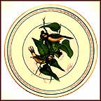 Hooded Warbler Collector Plate by C. Ford Riley MAIN