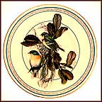 Northern Parula Collector Plate by C. Ford Riley MAIN