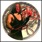 The Stinger Collector Plate MAIN