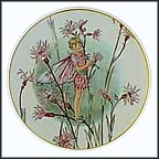 Ragged Robin Collector Plate by Cicely Mary Barker MAIN