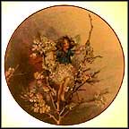 The Blackthorn Fairy Collector Plate by Cicely Mary Barker MAIN