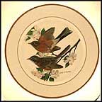 Robin Collector Plate by John Ruthven MAIN