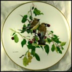 Cedar Waxwing Collector Plate by Glen Loates MAIN