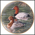 Pair Of Canvasbacks Collector Plate by Trevor Boyer MAIN