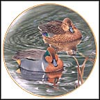 Pair Of Greenwinged Teals Collector Plate by Trevor Boyer MAIN