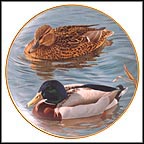Pair Of Mallards Collector Plate by Trevor Boyer MAIN
