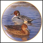 Pair Of Pintails Collector Plate by Trevor Boyer MAIN