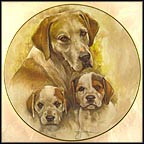 Pointers Collector Plate by Leo Jansen MAIN