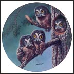 Beginning To Explore: Boreal Owls Collector Plate by Joe Thornbrugh MAIN